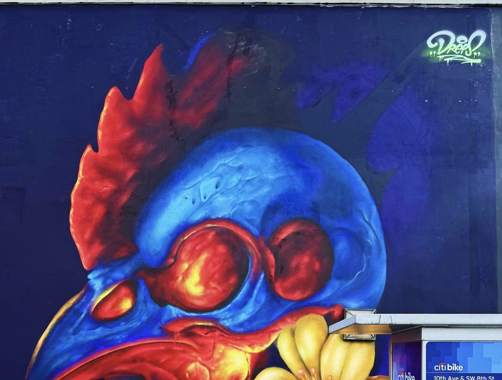Rooster skull mural, Miami